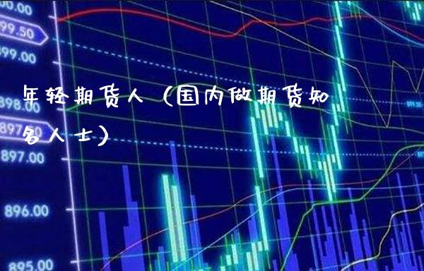 年轻期货人（国内做期货知名人士）