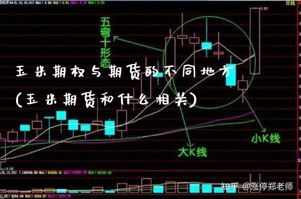 玉米期权与期货的不同地方(玉米期货和什么相关)