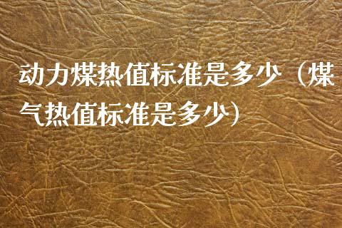 动力煤热值标准是多少（煤气热值标准是多少）_https://www.boyangwujin.com_原油期货_第1张