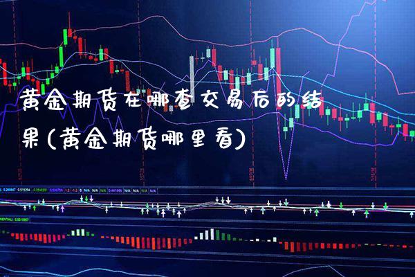 黄金期货在哪查交易后的结果(黄金期货哪里看)