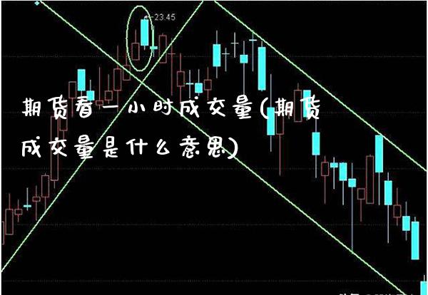 期货看一小时成交量(期货成交量是什么意思)_https://www.boyangwujin.com_白银期货_第1张