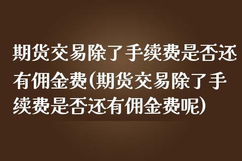 期货交易除了手续费是否还有佣金费(期货交易除了手续费是否还有佣金费呢)