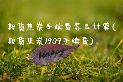 期货焦炭手续费怎么计算(期货焦炭1909手续费)