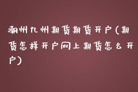 潮州九州期货期货开户(期货怎样开户网上期货怎么开户)