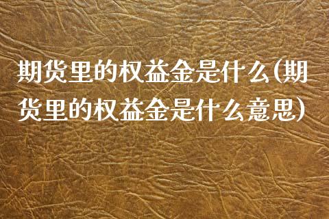 期货里的权益金是什么(期货里的权益金是什么意思)_https://www.boyangwujin.com_期货直播间_第1张