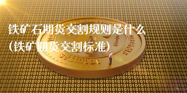 铁矿石期货交割规则是什么(铁矿期货交割标准)_https://www.boyangwujin.com_期货科普_第1张