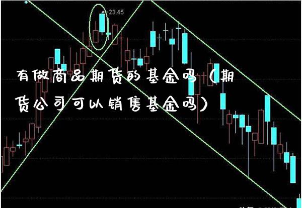 有做商品期货的基金吗（期货公司可以销售基金吗）