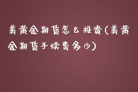 美黄金期货怎么投资(美黄金期货手续费多少)_https://www.boyangwujin.com_原油期货_第1张