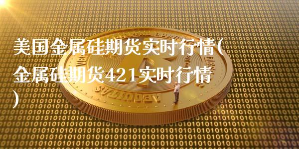 美国金属硅期货实时行情(金属硅期货421实时行情)