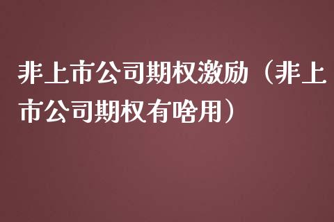 非上市公司期权激励（非上市公司期权有啥用）