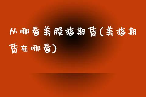 从哪看美股指期货(美指期货在哪看)