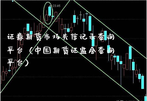 证券期货市场失信记录查询平台（中国期货证监会查询平台）