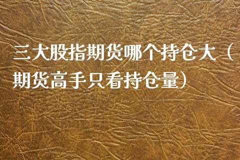 三大股指期货哪个持仓大（期货高手只看持仓量）_https://www.boyangwujin.com_道指期货_第1张