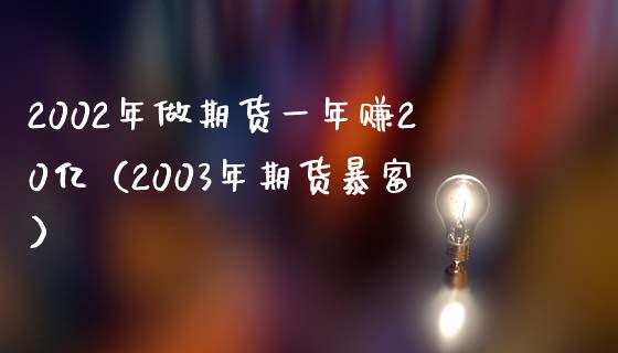 2002年做期货一年赚20亿（2003年期货暴富）