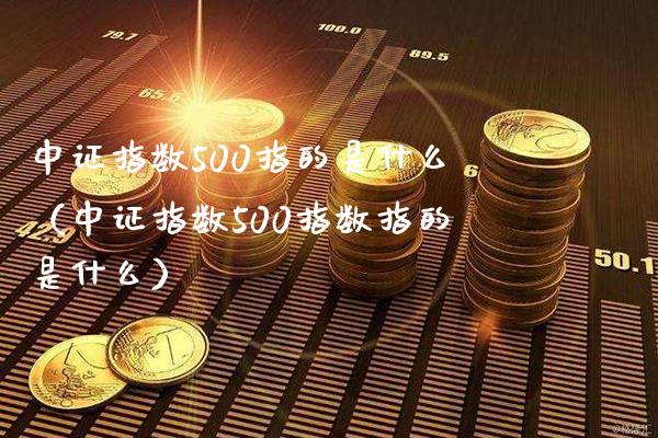 中证指数500指的是什么（中证指数500指数指的是什么）