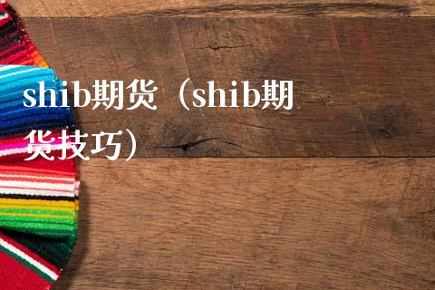 shib期货（shib期货技巧）