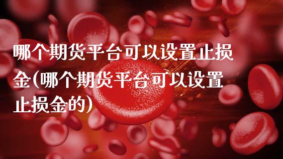 哪个期货平台可以设置止损金(哪个期货平台可以设置止损金的)_https://www.boyangwujin.com_期货直播间_第1张