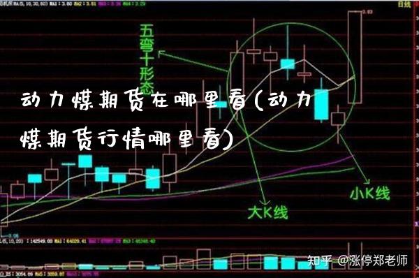 动力煤期货在哪里看(动力煤期货行情哪里看)