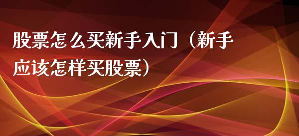 股票怎么买新手入门（新手应该怎样买股票）