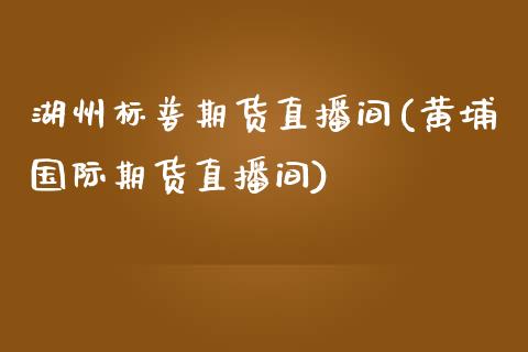 湖州标普期货直播间(黄埔国际期货直播间)