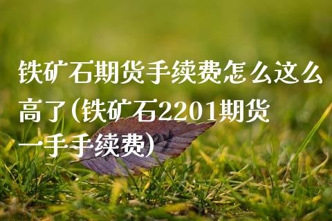 铁矿石期货手续费怎么这么高了(铁矿石2201期货一手手续费)