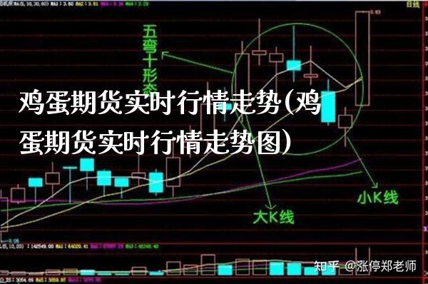 鸡蛋期货实时行情走势(鸡蛋期货实时行情走势图)_https://www.boyangwujin.com_黄金期货_第1张