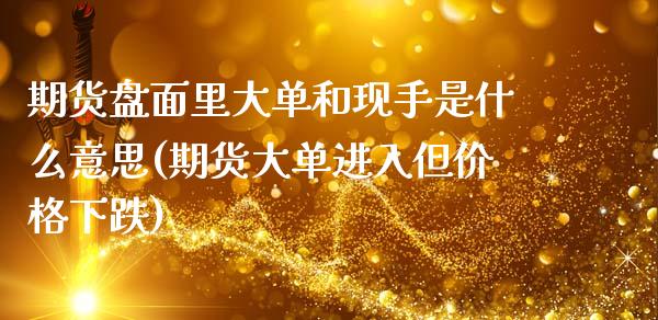 期货盘面里大单和现手是什么意思(期货大单进入但价格下跌)_https://www.boyangwujin.com_道指期货_第1张