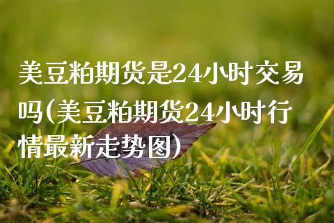 美豆粕期货是24小时交易吗(美豆粕期货24小时行情最新走势图)