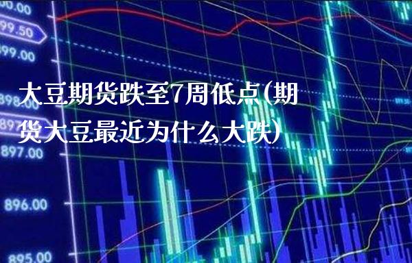 大豆期货跌至7周低点(期货大豆最近为什么大跌)_https://www.boyangwujin.com_恒指期货_第1张