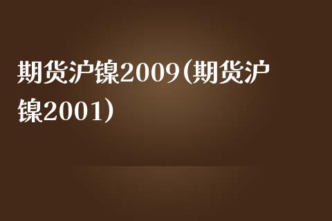 期货沪镍2009(期货沪镍2001)