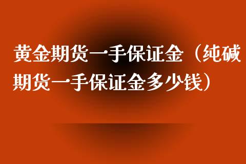 黄金期货一手保证金（纯碱期货一手保证金多少钱）