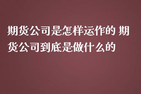 期货公司是怎样运作的 期货公司到底是做什么的