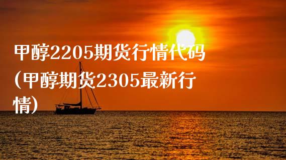 甲醇2205期货行情代码(甲醇期货2305最新行情)