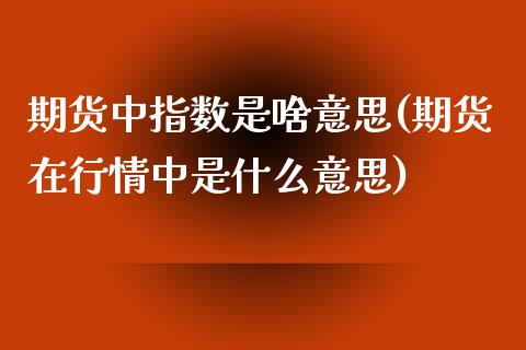 期货中指数是啥意思(期货在行情中是什么意思)_https://www.boyangwujin.com_纳指期货_第1张