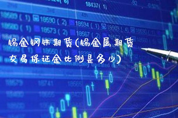 锡金钢铁期货(锡金属期货交易保证金比例是多少)