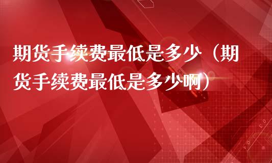 期货手续费最低是多少（期货手续费最低是多少啊）