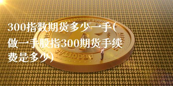 300指数期货多少一手(做一手股指300期货手续费是多少)