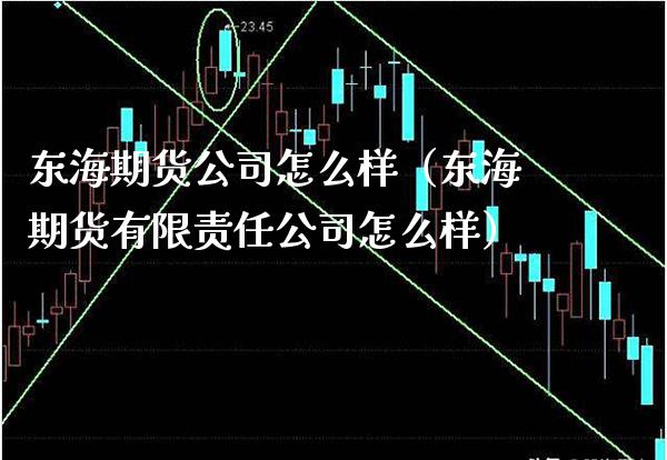 东海期货公司怎么样（东海期货有限责任公司怎么样）_https://www.boyangwujin.com_黄金期货_第1张