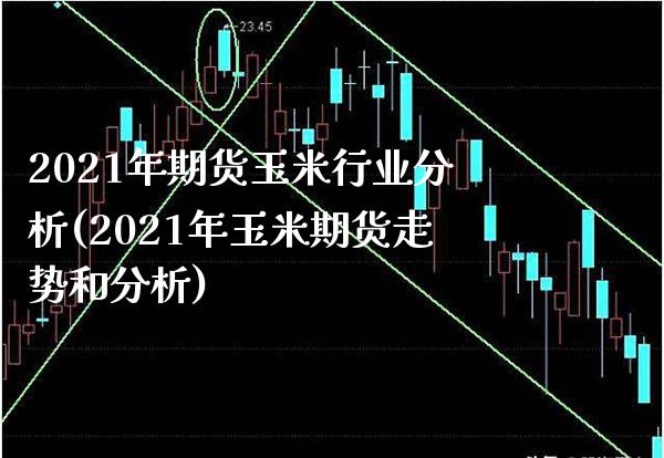 2021年期货玉米行业分析(2021年玉米期货走势和分析)