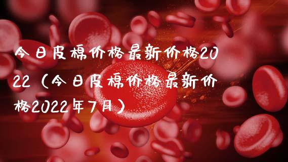 今日皮棉价格最新价格2022（今日皮棉价格最新价格2022年7月）