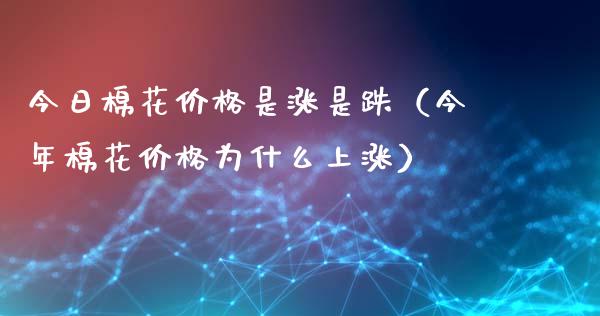 今日棉花价格是涨是跌（今年棉花价格为什么上涨）