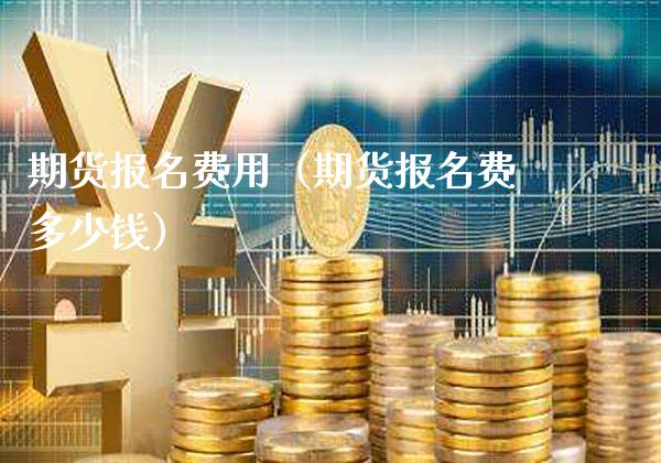 期货报名费用（期货报名费多少钱）_https://www.boyangwujin.com_恒指直播间_第1张