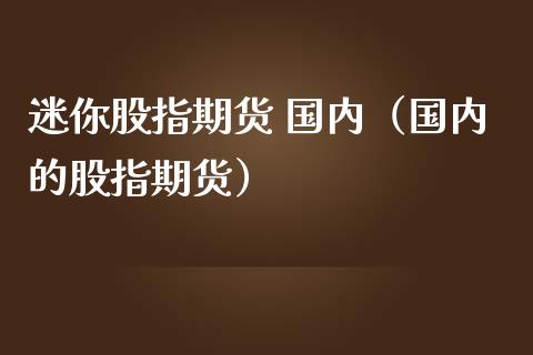 迷你股指期货 国内（国内的股指期货）