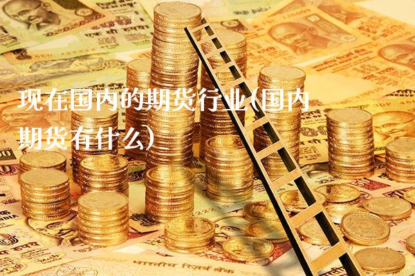 现在国内的期货行业(国内期货有什么)_https://www.boyangwujin.com_恒指直播间_第1张