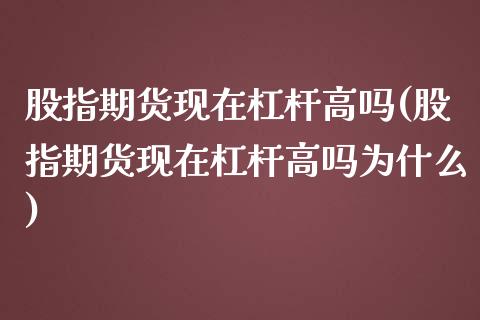 股指期货现在杠杆高吗(股指期货现在杠杆高吗为什么)