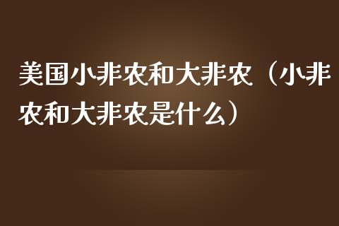 美国小非农和大非农（小非农和大非农是什么）