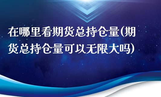 在哪里看期货总持仓量(期货总持仓量可以无限大吗)_https://www.boyangwujin.com_期货直播间_第1张