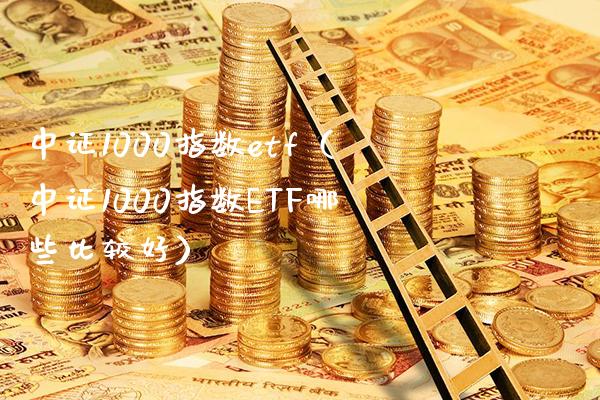 中证1000指数etf（中证1000指数ETF哪些比较好）