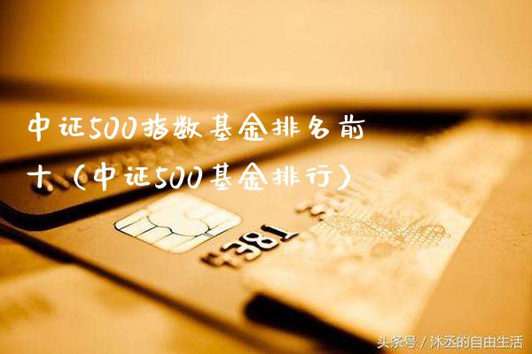 中证500指数基金排名前十（中证500基金排行）