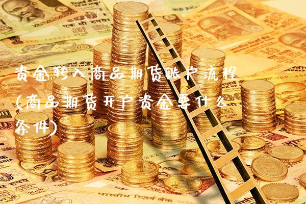 资金转入商品期货账户流程(商品期货开户资金要什么条件)